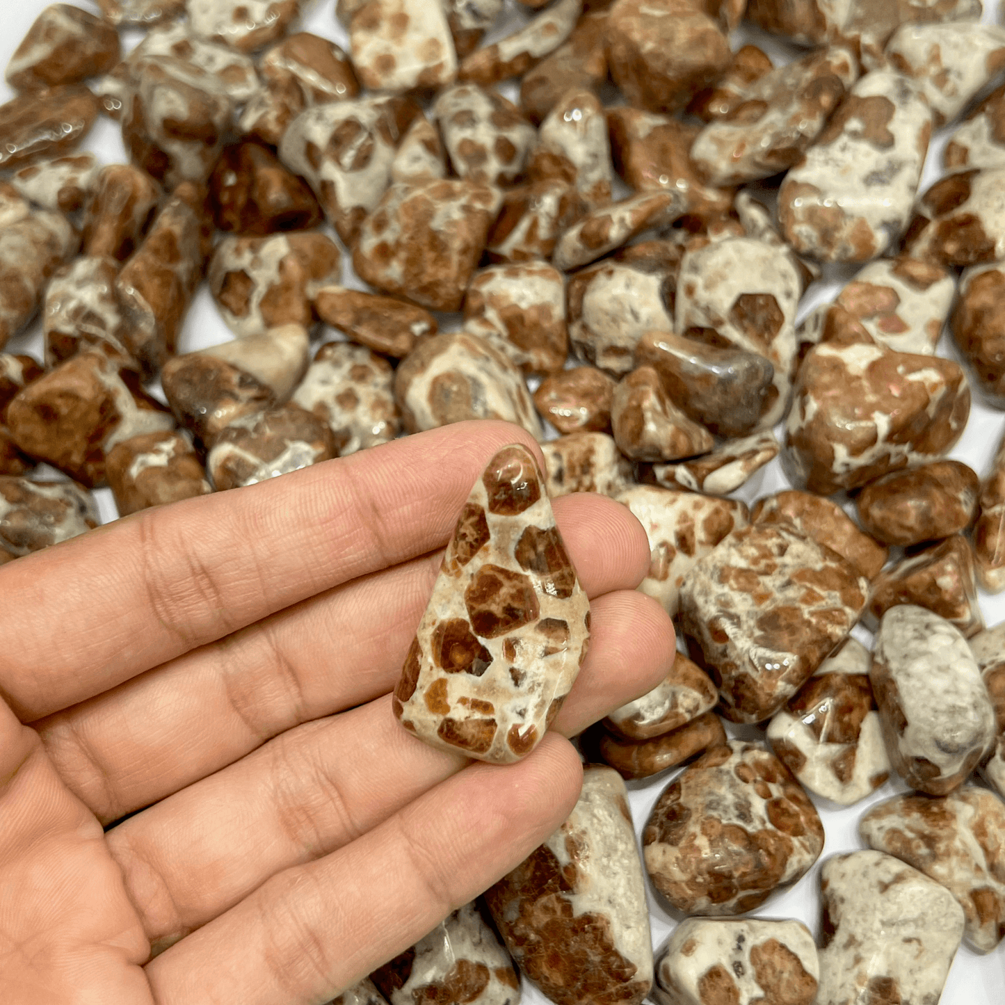 Garnet in Limestone Tumbled Stone