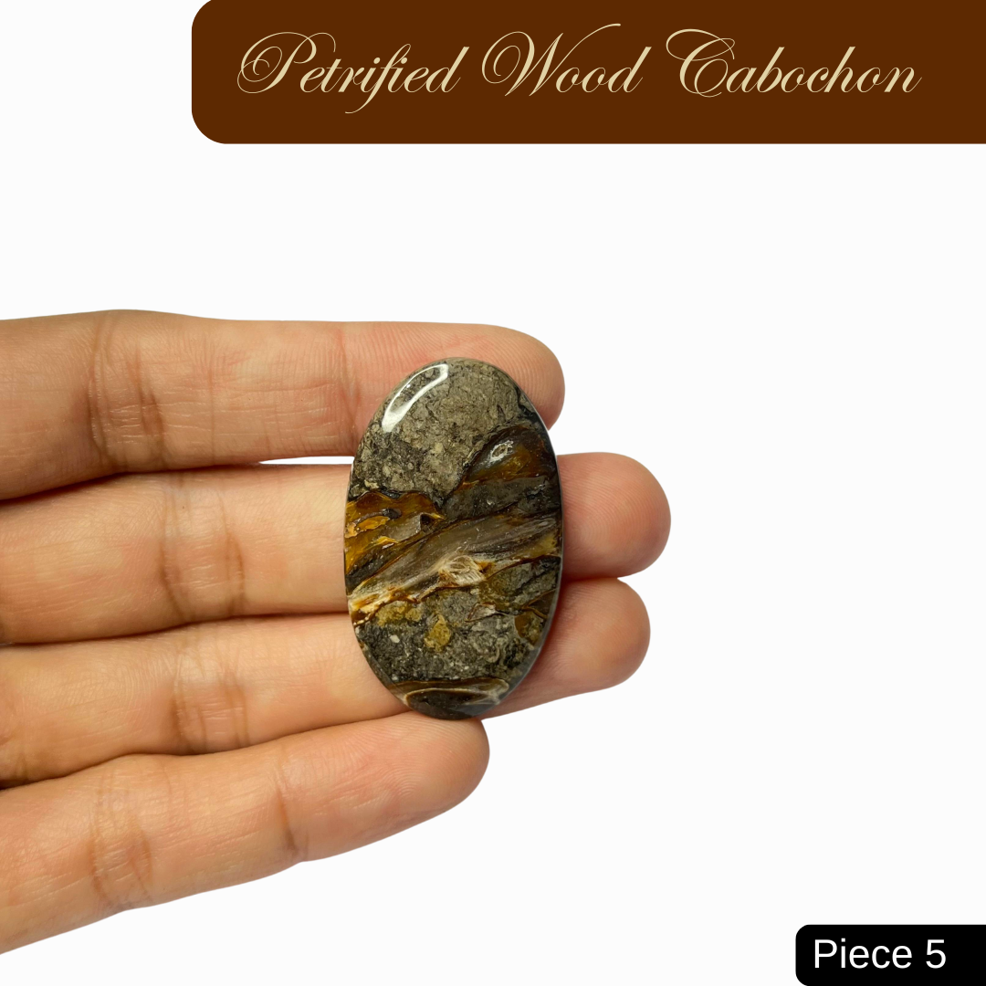 Petrified Wood Cabochons