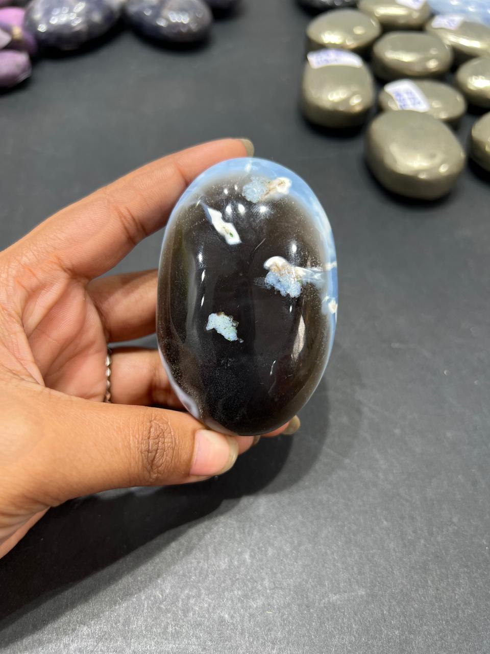 Blue Opal Palm