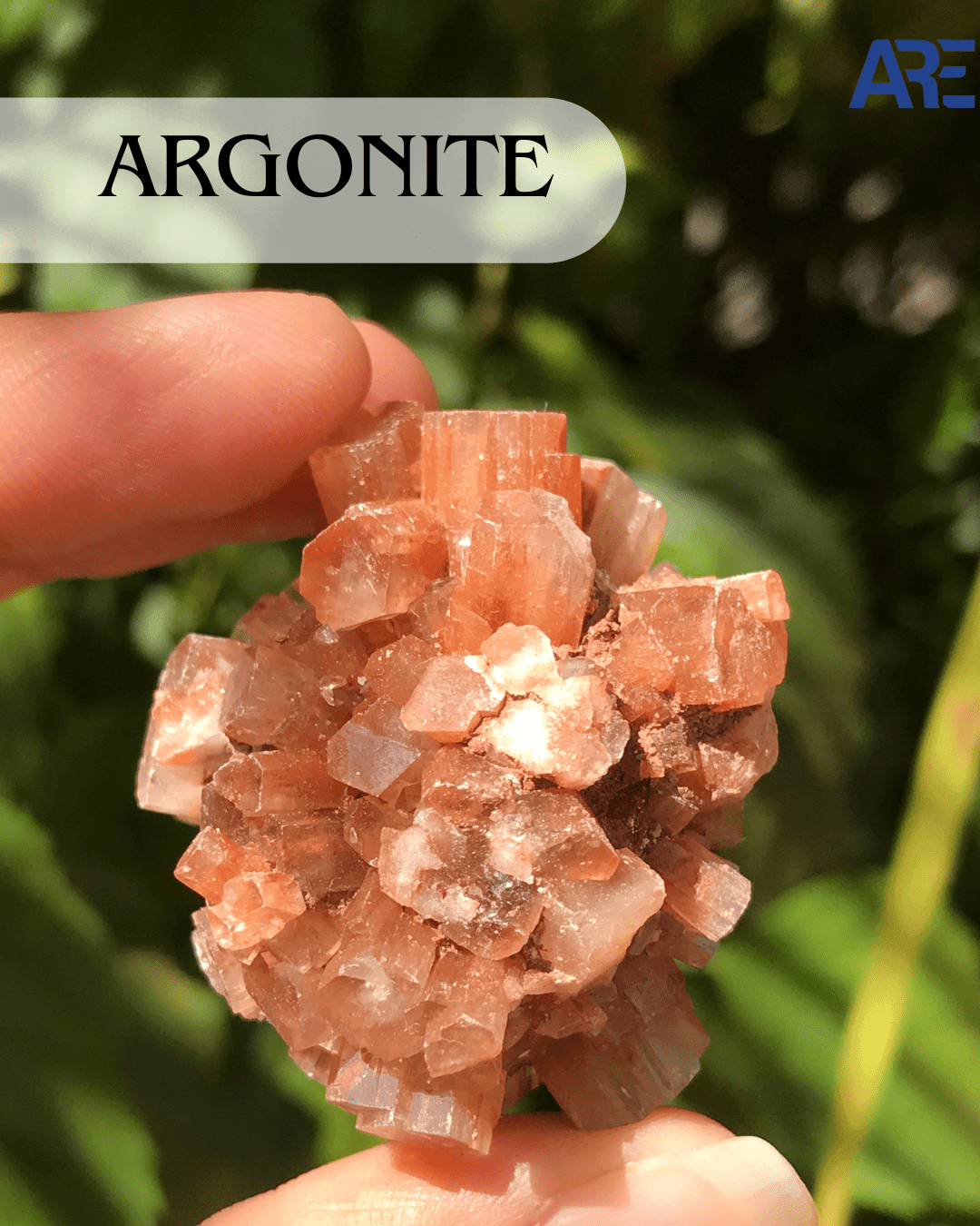 Argonite - AEORA ROCKS INDIA - Healing Crystals superstore