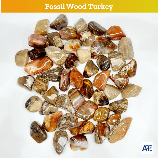 Fossil Wood Turkey Tumbled Stone - AEORA ROCKS INDIA - Healing Crystals superstore