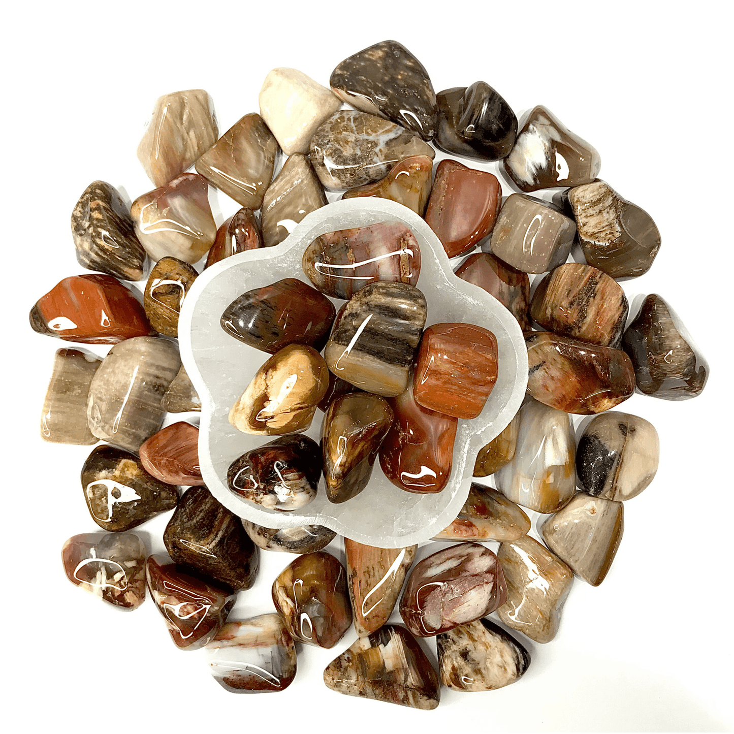 Fossil Wood Turkey Tumbled Stone - AEORA ROCKS INDIA - Healing Crystals superstore