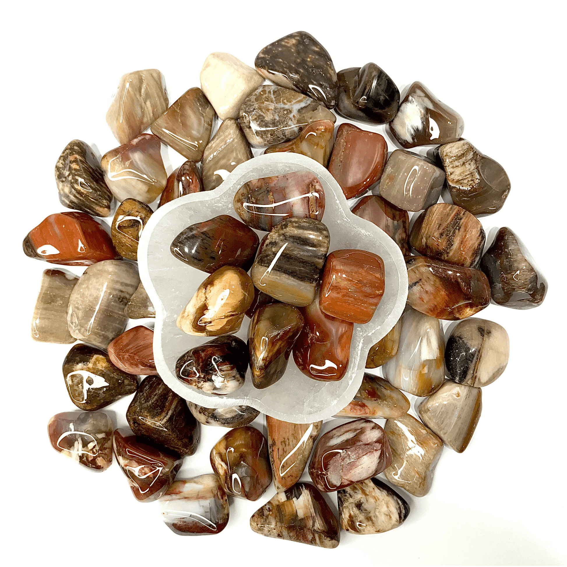 Fossil Wood Turkey Tumbled Stone - AEORA ROCKS INDIA - Healing Crystals superstore