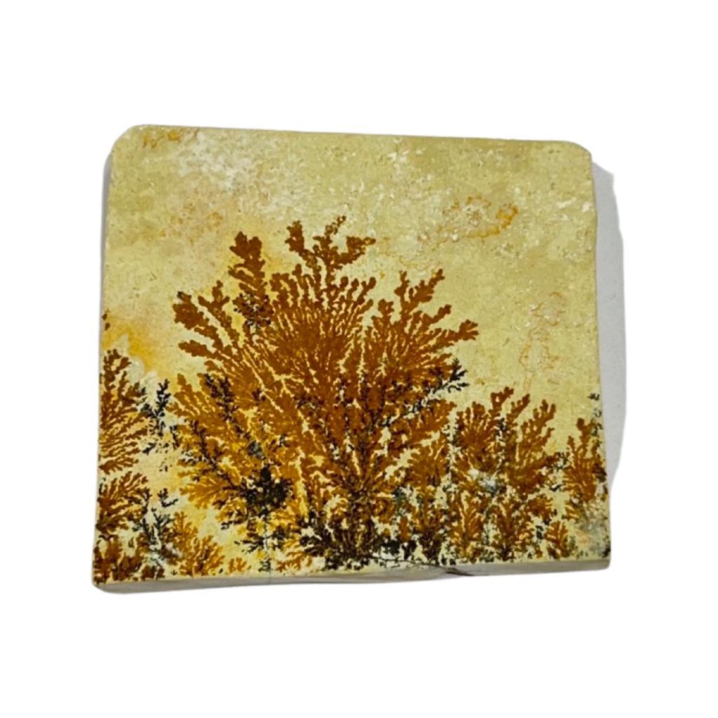 Limestone in India - Aeora Rocks - AEORA ROCKS INDIA - Healing Crystals superstore