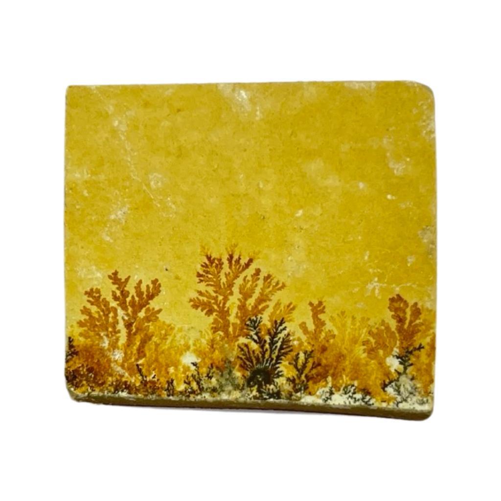 Limestone in India - Aeora Rocks - AEORA ROCKS INDIA - Healing Crystals superstore
