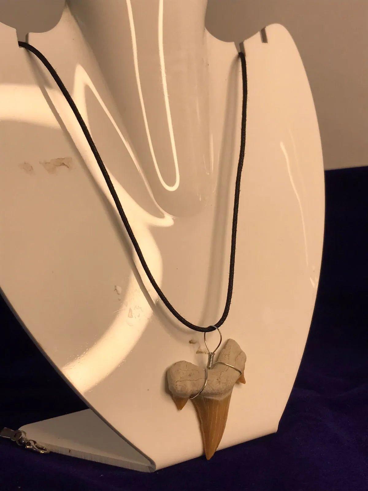 Shark Tooth Pendant - AEORA ROCKS INDIA - Healing Crystals superstore