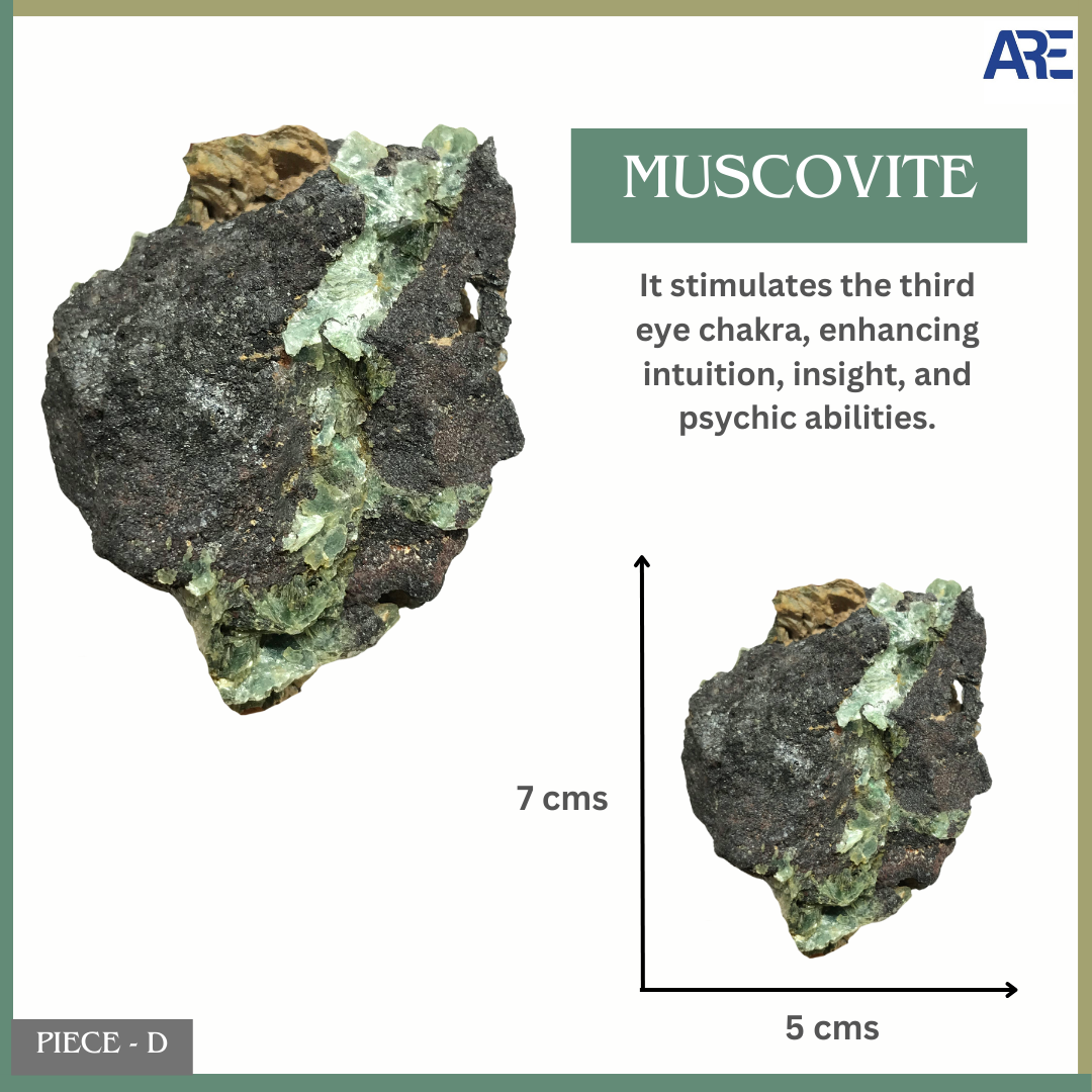 Muscovite