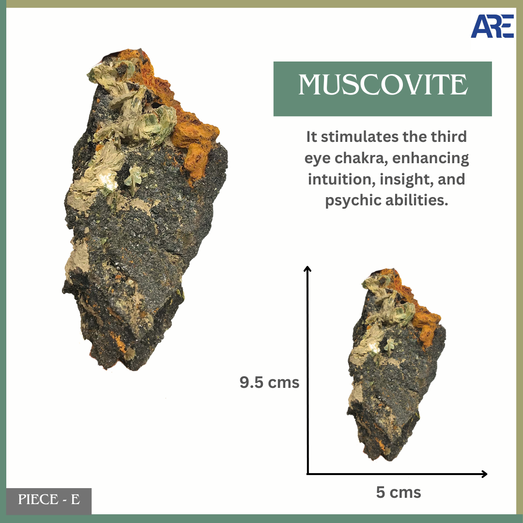 Muscovite