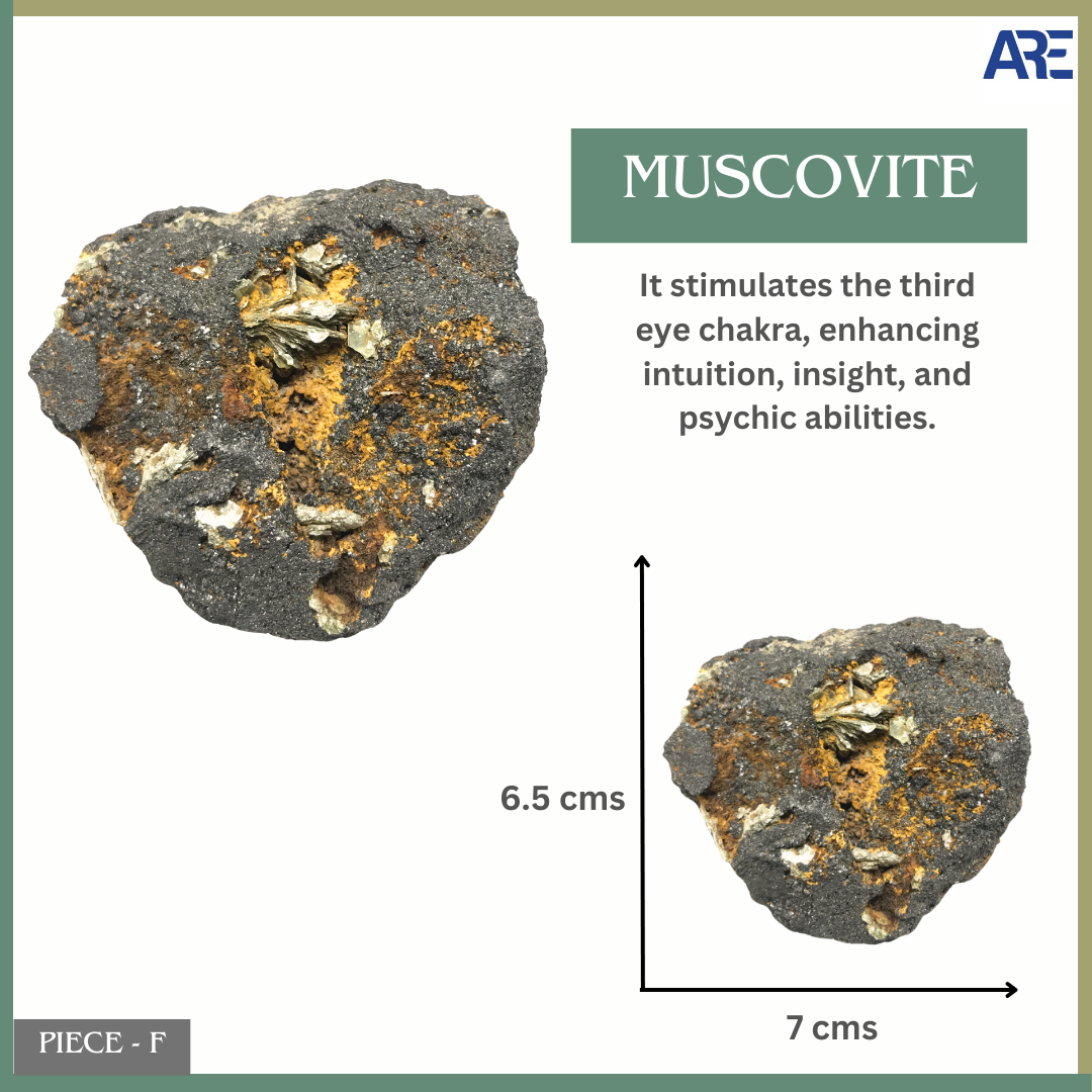 Muscovite