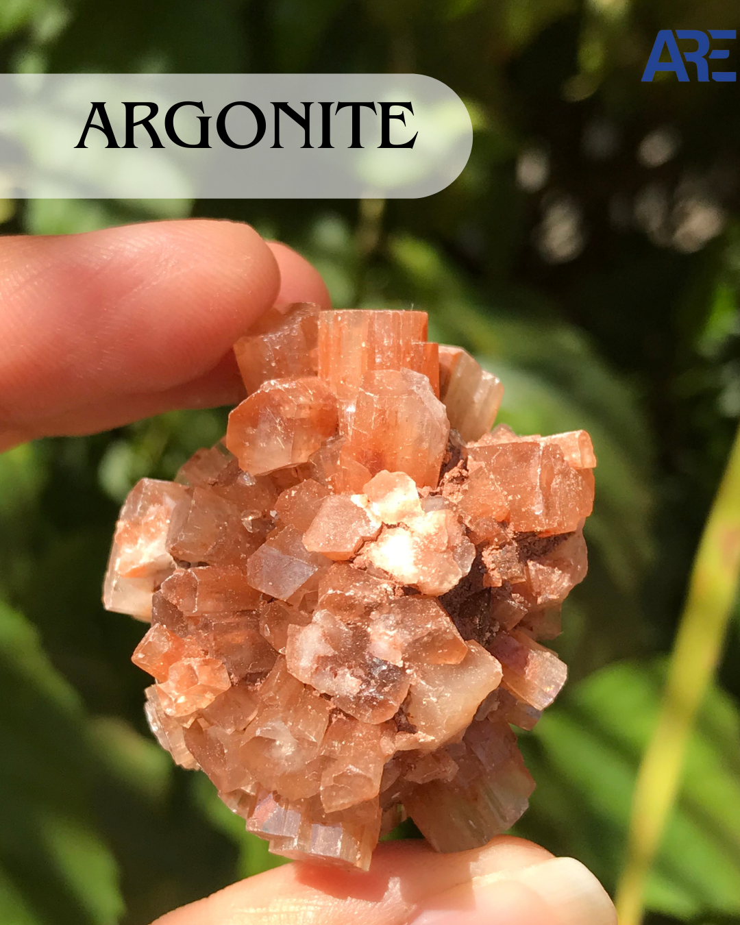 Argonite