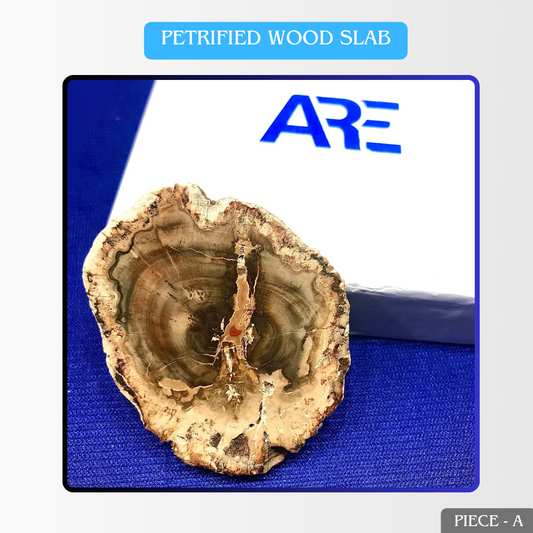 Petrified Wood Slab