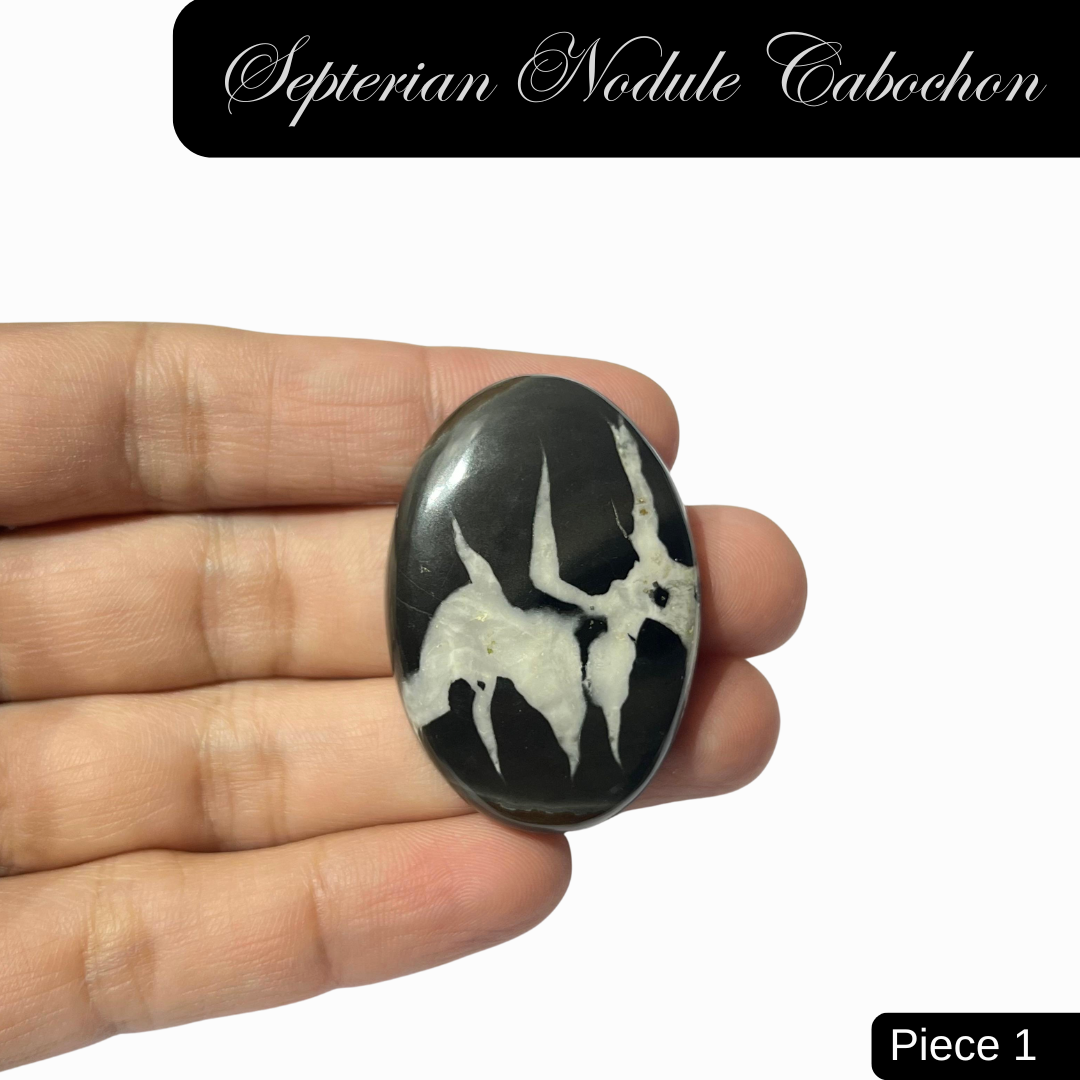 Septerian Nodule Cabochons