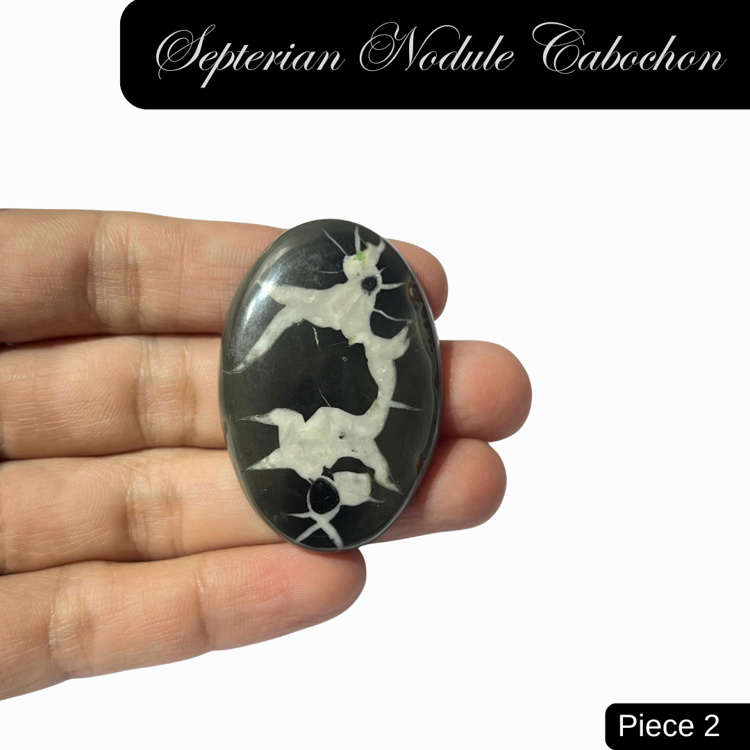 Septerian Nodule Cabochons - AEORA ROCKS INDIA -Healing Crystals superstore