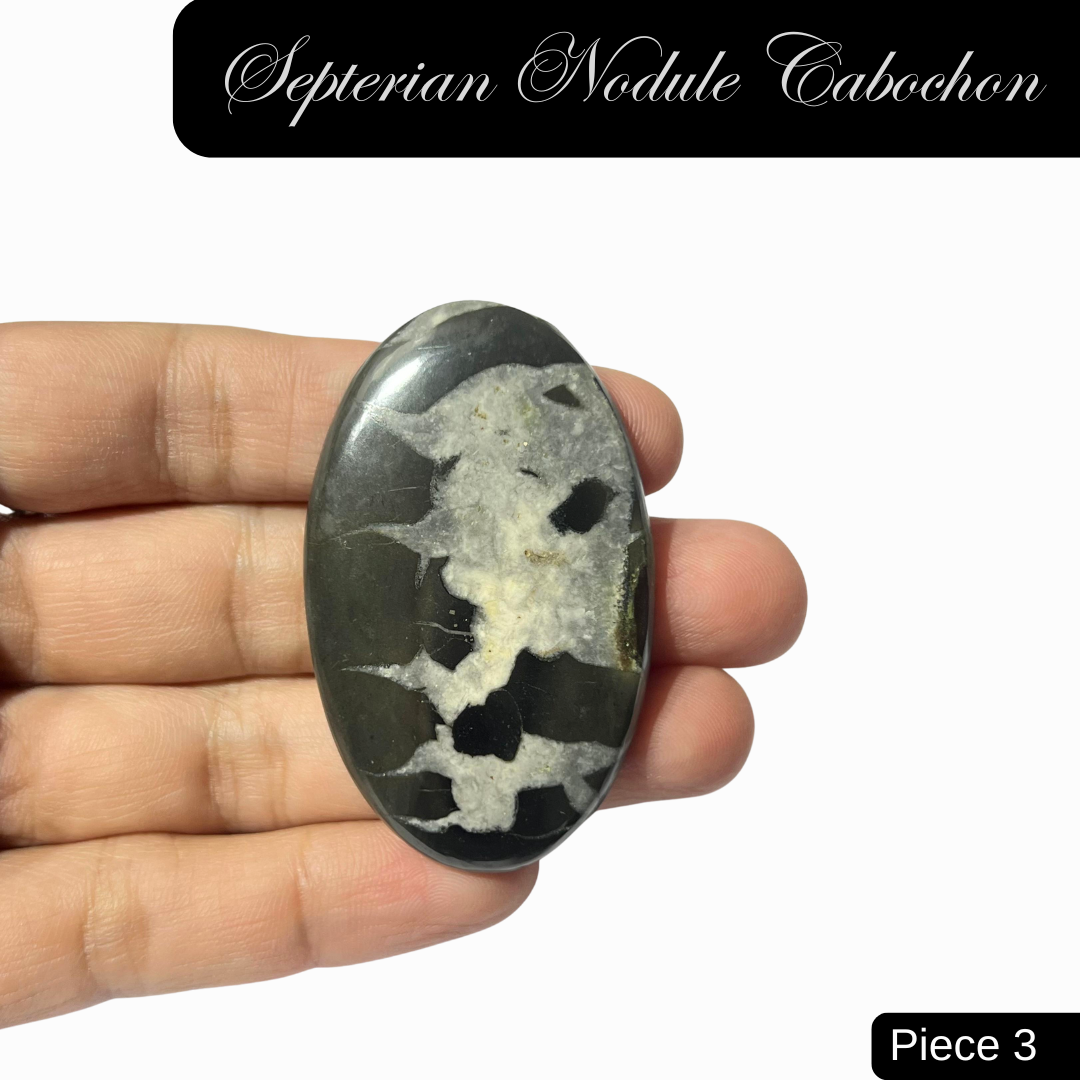Septerian Nodule Cabochons