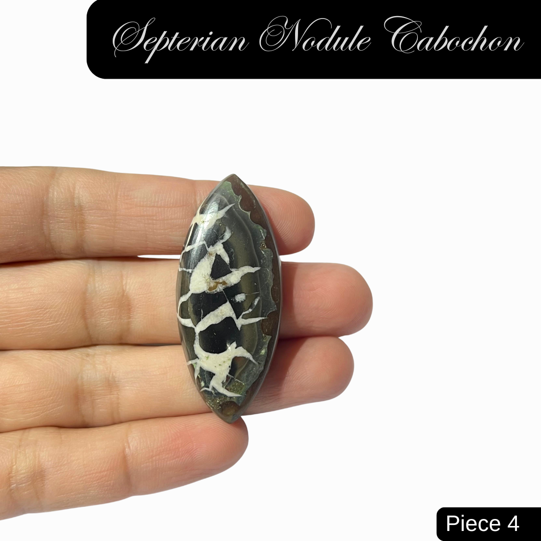 Septerian Nodule Cabochons - AEORA ROCKS INDIA -Healing Crystals superstore