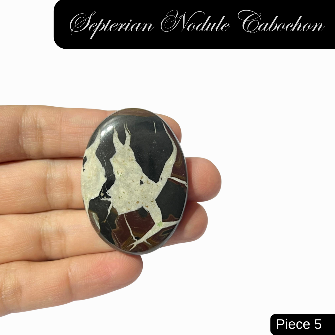 Septerian Nodule Cabochons - AEORA ROCKS INDIA -Healing Crystals superstore