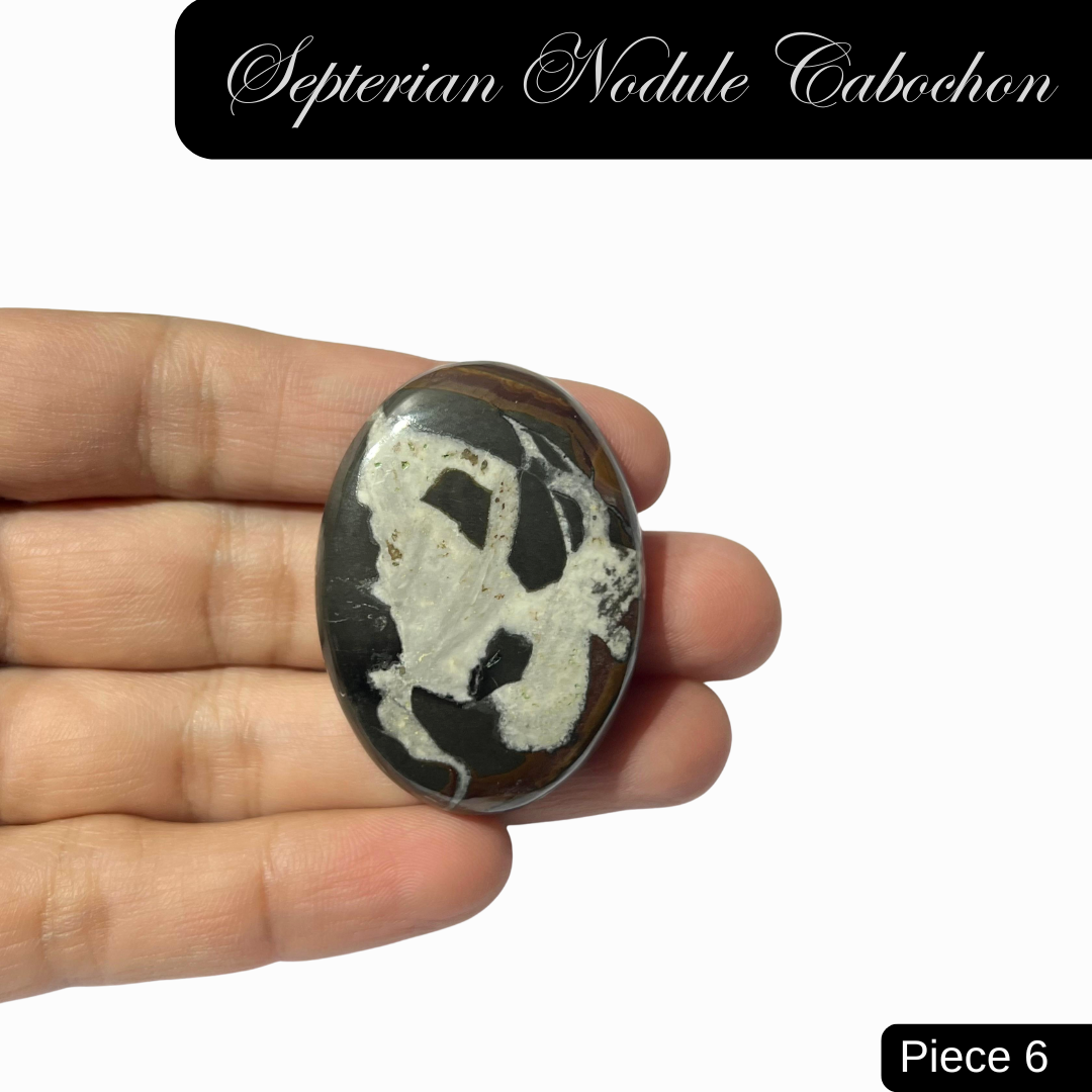 Septerian Nodule Cabochons