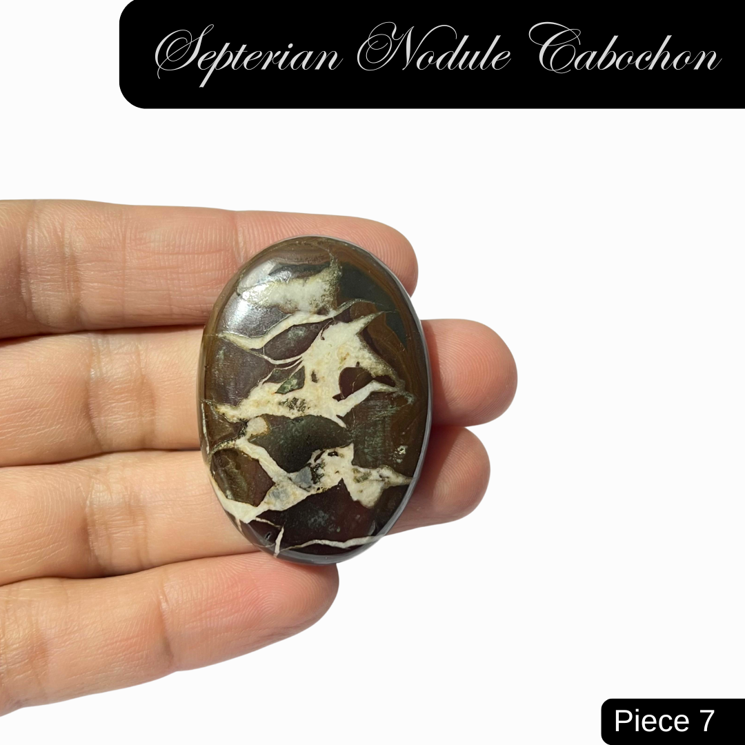 Septerian Nodule Cabochons - AEORA ROCKS INDIA -Healing Crystals superstore