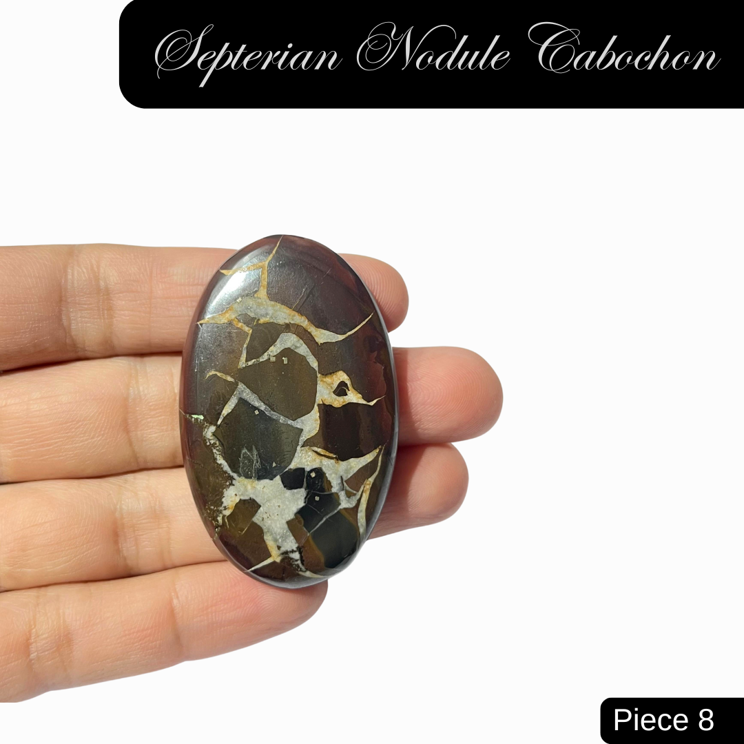 Septerian Nodule Cabochons - AEORA ROCKS INDIA -Healing Crystals superstore