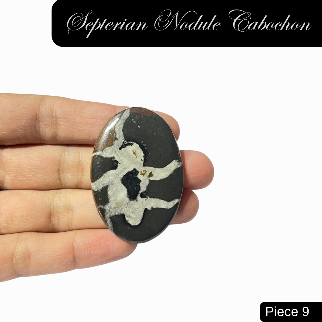 Septerian Nodule Cabochons - AEORA ROCKS INDIA -Healing Crystals superstore