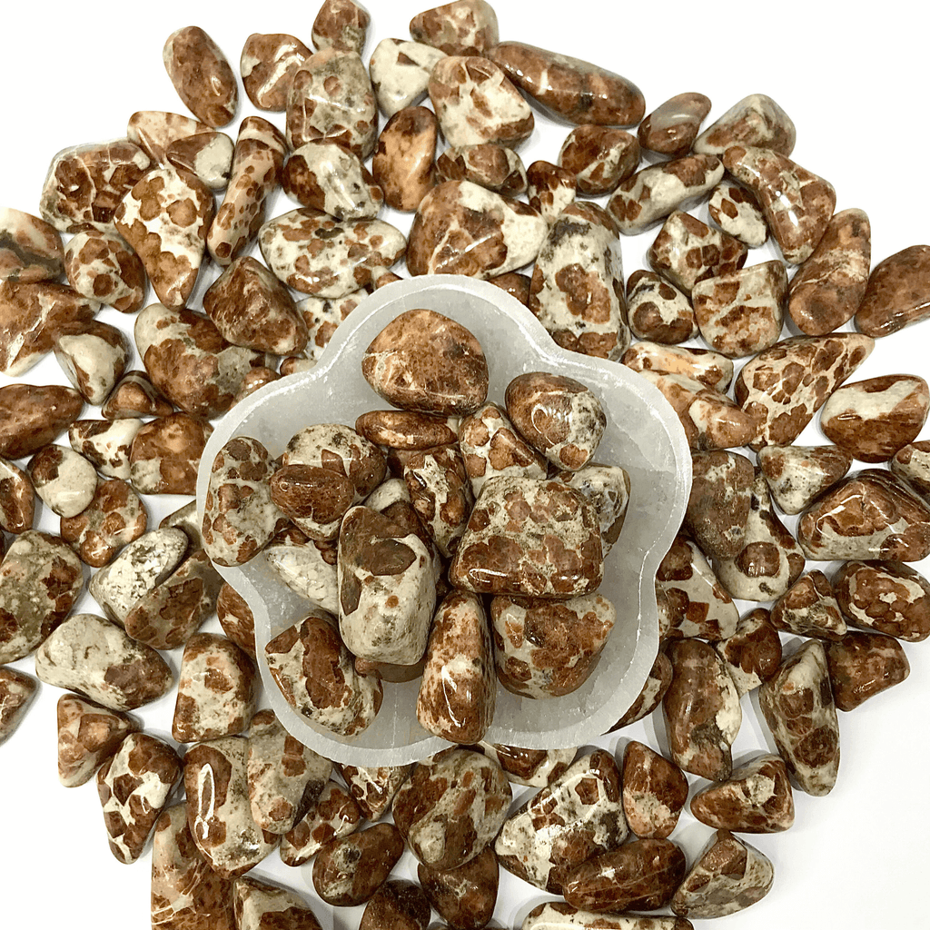 Garnet in Limestone Tumbled Stone - AEORA ROCKS INDIA -Healing Crystals superstore