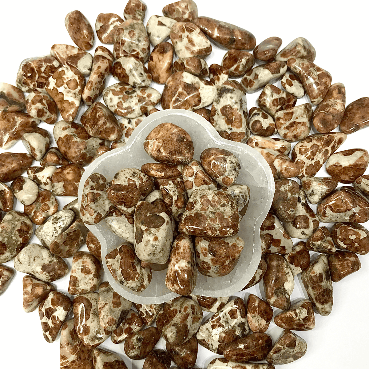 Garnet in Limestone Tumbled Stone - AEORA ROCKS INDIA -Healing Crystals superstore