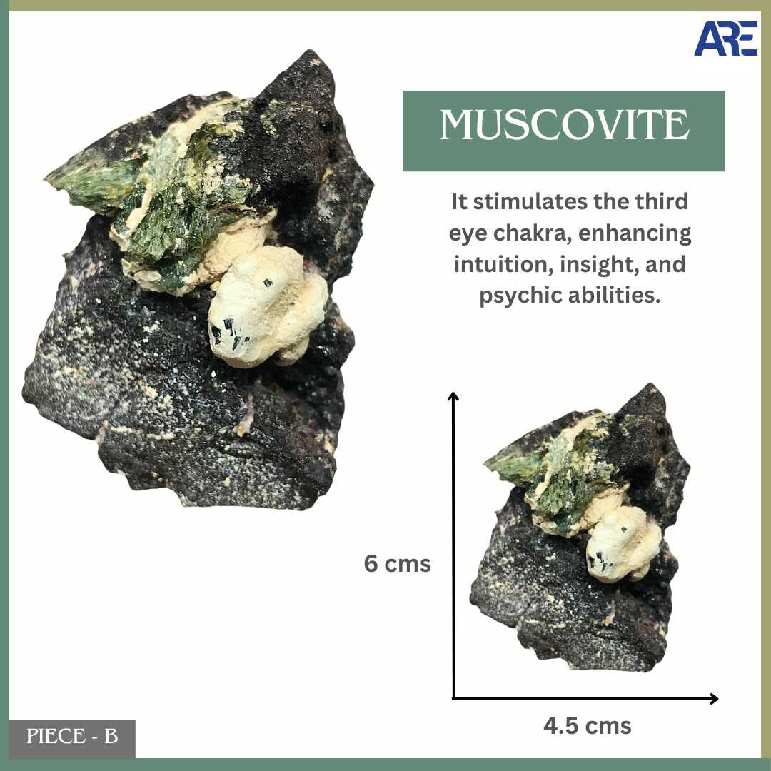 Muscovite