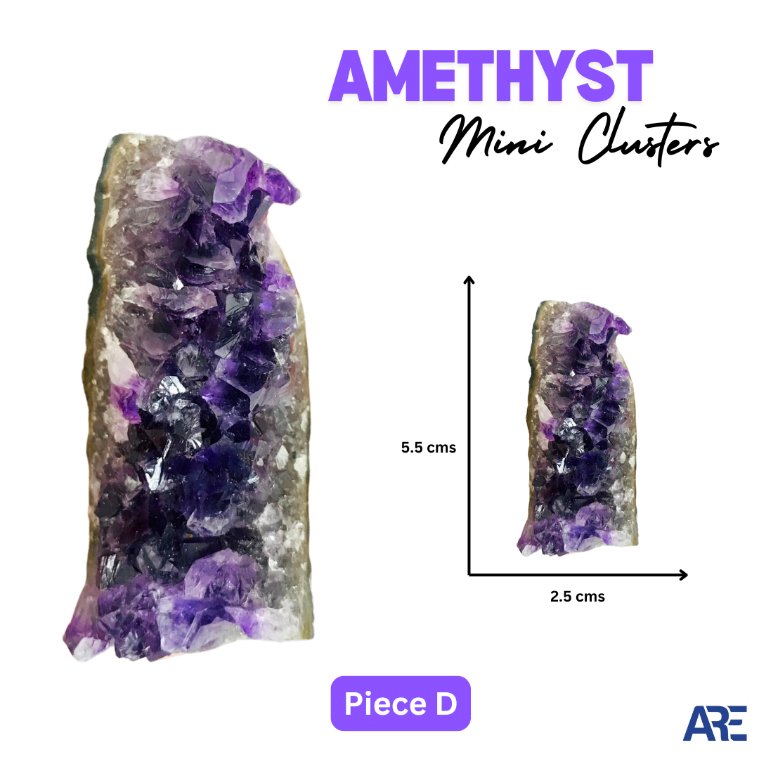 Amethyst Mini Cluster