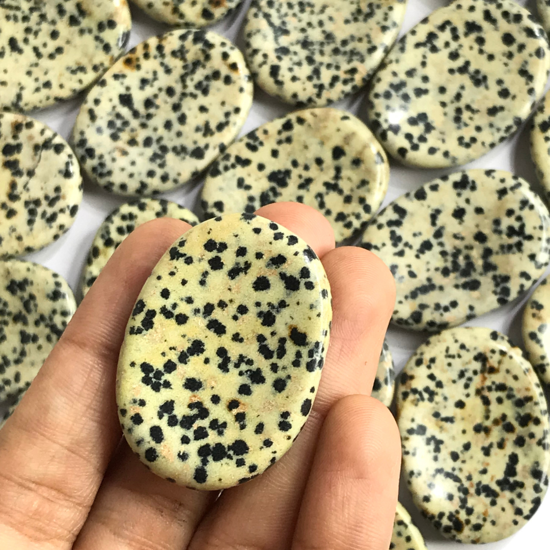 Dalmatian Jasper Worry Stone