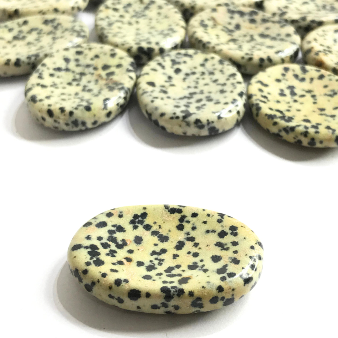 Dalmatian Jasper Worry Stone