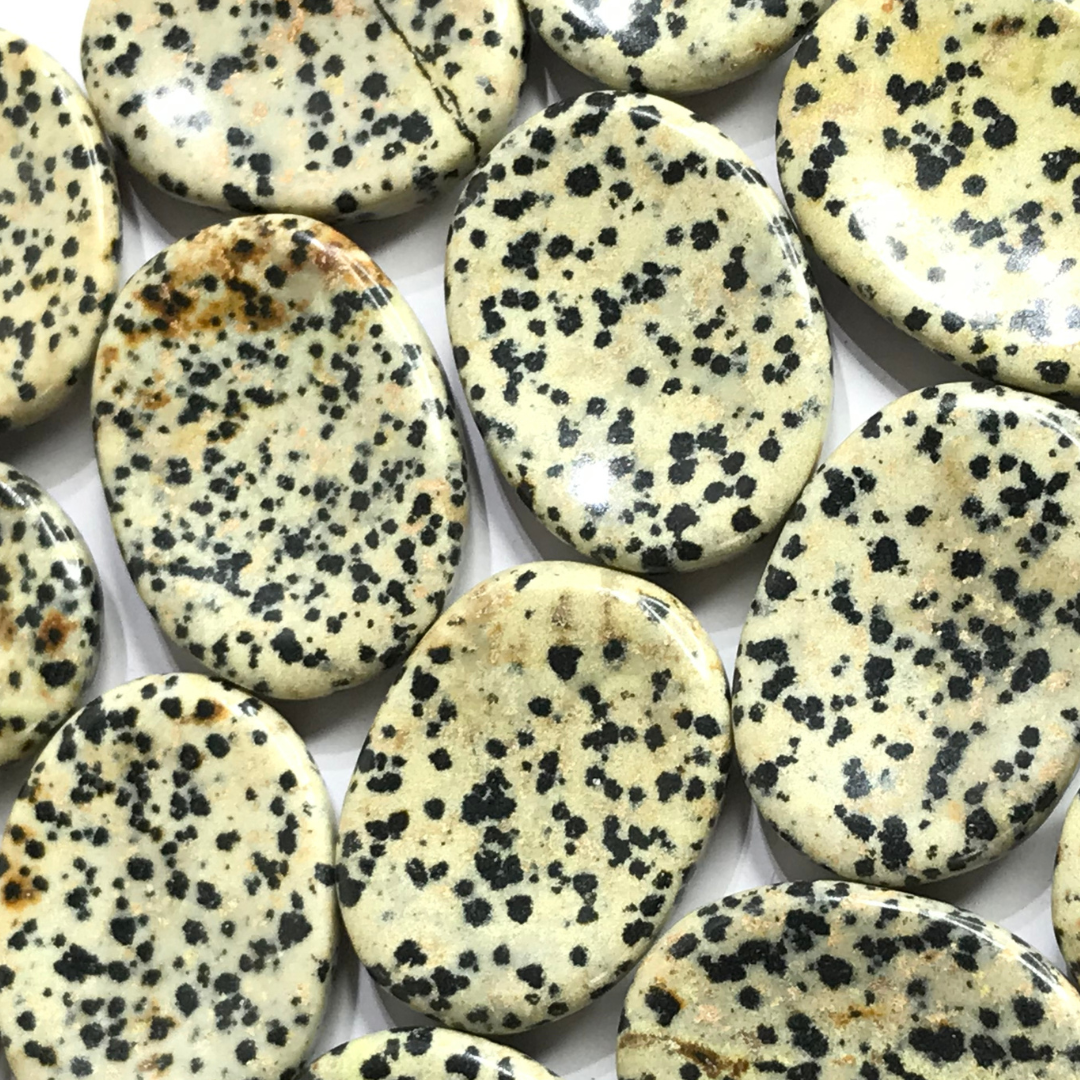 Dalmatian Jasper Worry Stone