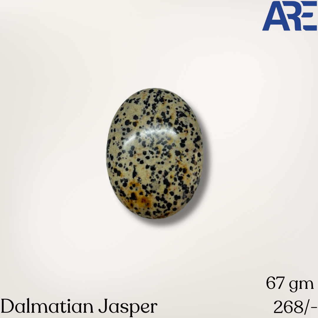 Dalmatian Jasper Palmstone