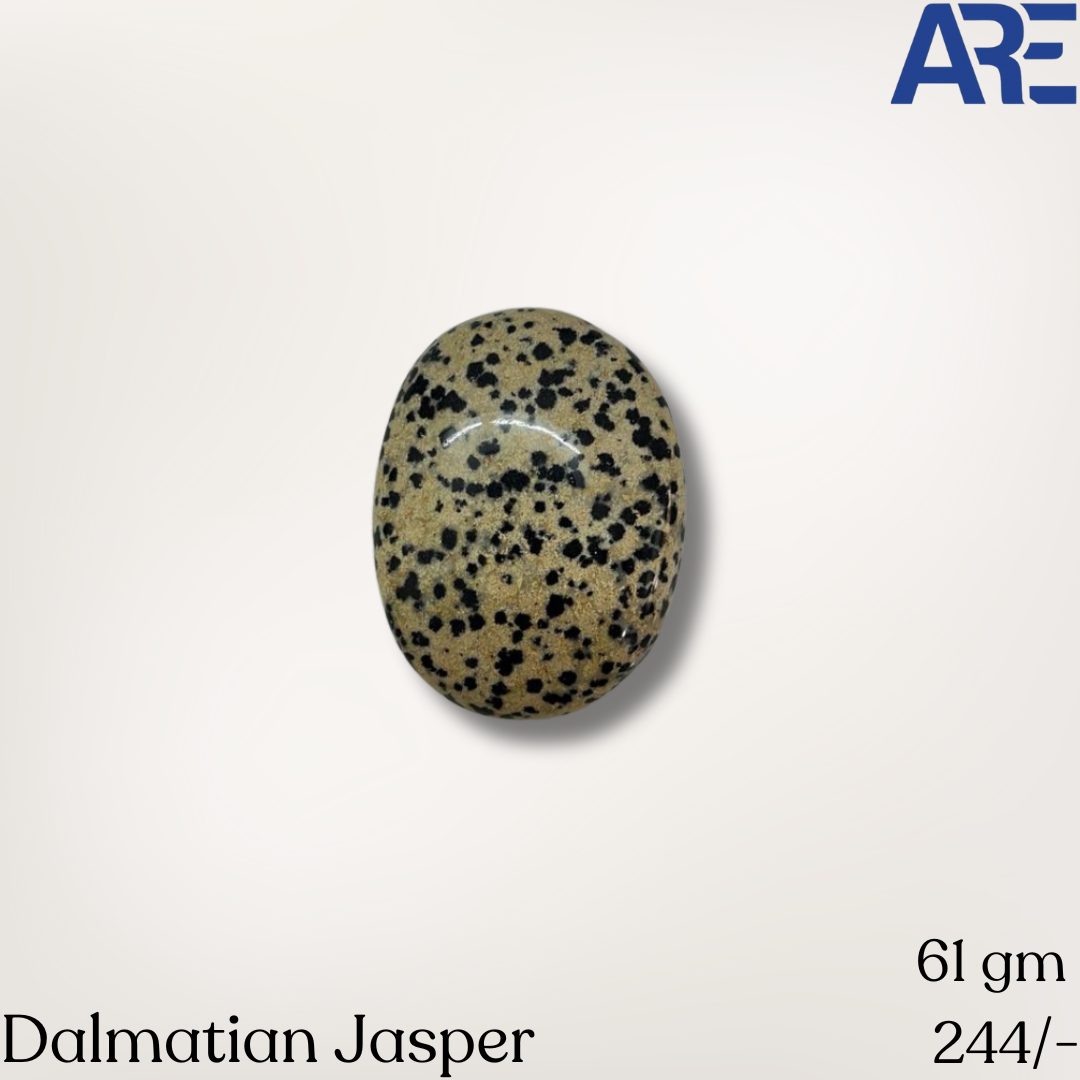 Dalmatian Jasper Palmstone