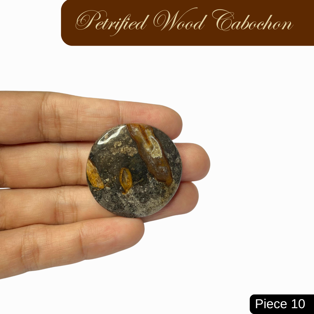 Petrified Wood Cabochons - AEORA ROCKS INDIA -Healing Crystals superstore