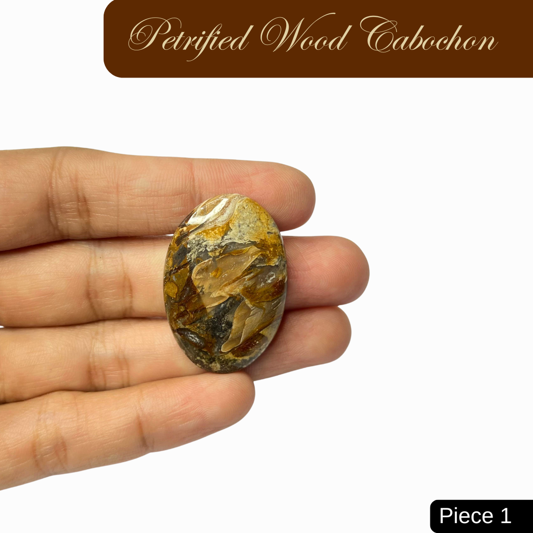 Petrified Wood Cabochons