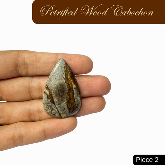 Petrified Wood Cabochons