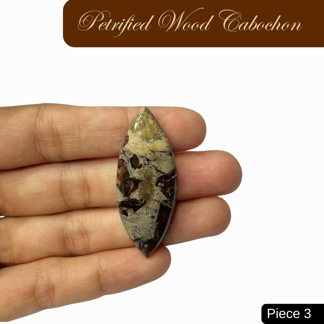 Petrified Wood Cabochons - AEORA ROCKS INDIA -Healing Crystals superstore