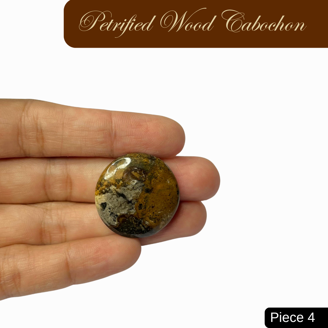 Petrified Wood Cabochons - AEORA ROCKS INDIA -Healing Crystals superstore
