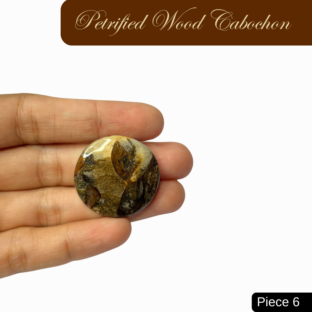 Petrified Wood Cabochons - AEORA ROCKS INDIA -Healing Crystals superstore