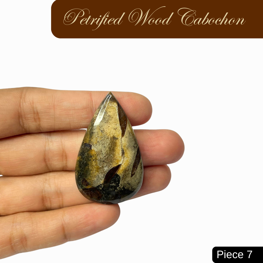 Petrified Wood Cabochons - AEORA ROCKS INDIA -Healing Crystals superstore