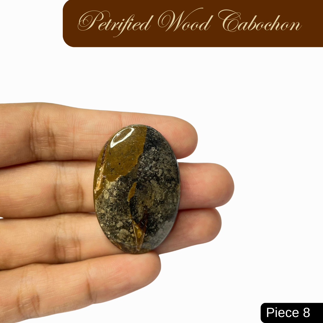 Petrified Wood Cabochons - AEORA ROCKS INDIA -Healing Crystals superstore
