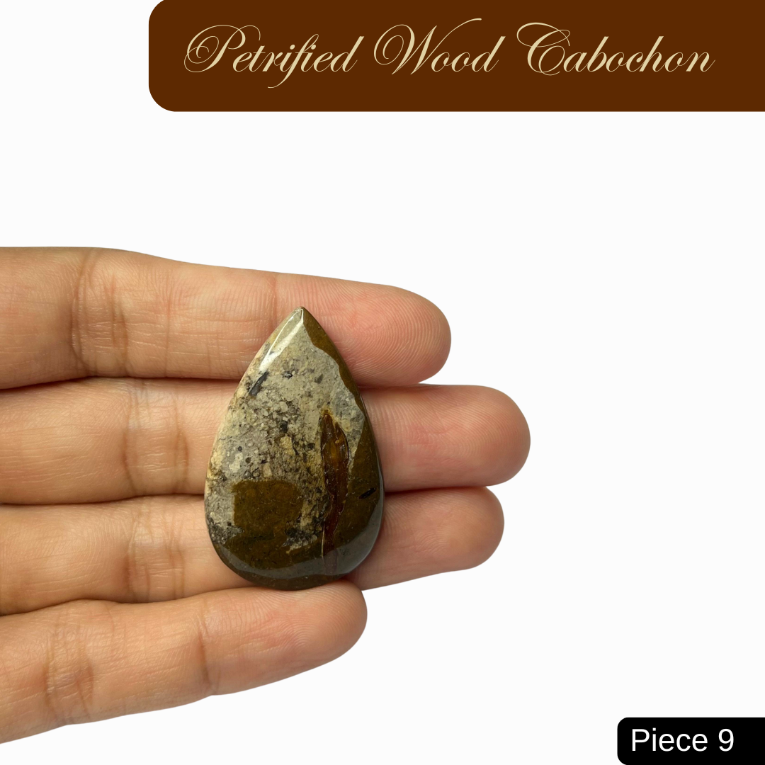 Petrified Wood Cabochons - AEORA ROCKS INDIA -Healing Crystals superstore