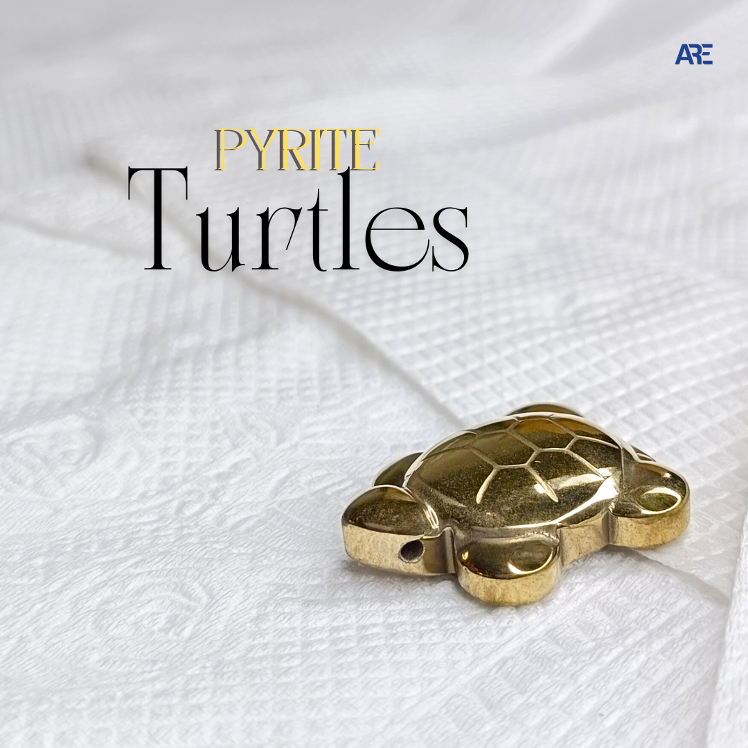 Pyrite Turtle