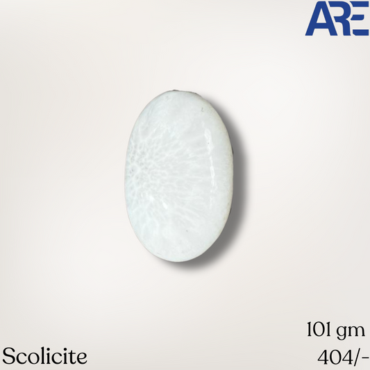 Scolicite Palmstone