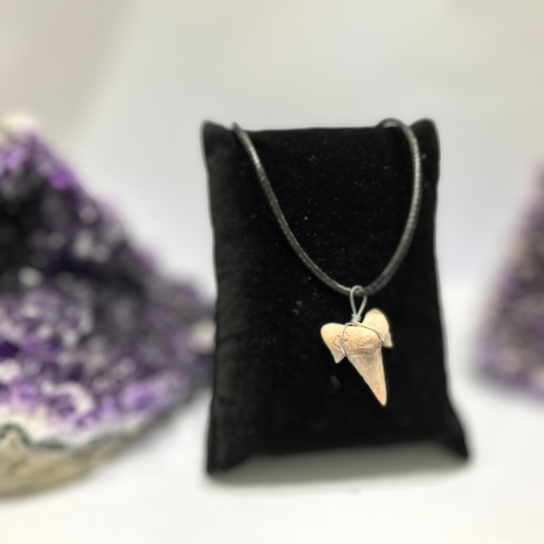 Shark Tooth Pendant for Women