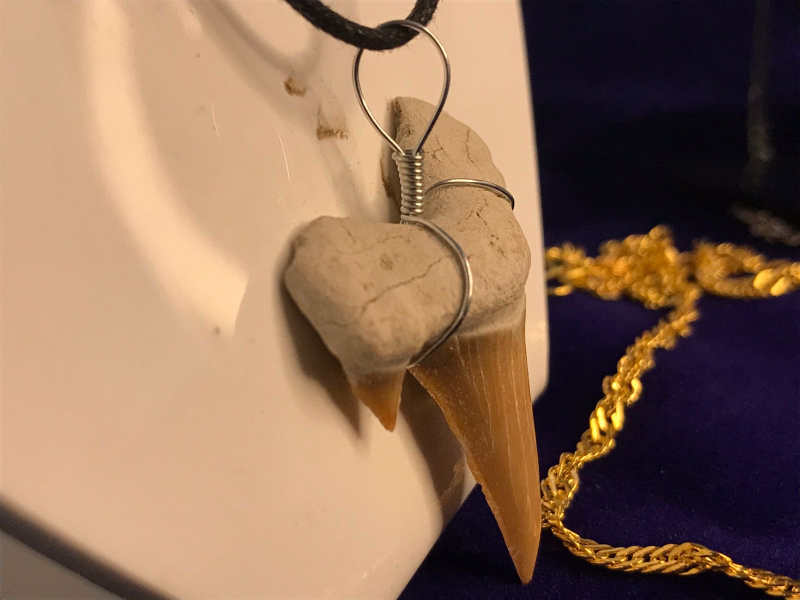Megalodon Tooth Necklace With Turquoise