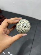 Dalmatian Jasper 260g - AEORA ROCKS INDIA -Healing Crystals superstore