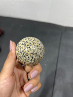 Dalmatian Jasper 187g - AEORA ROCKS INDIA -Healing Crystals superstore