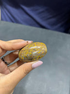 Fruit Jasper Lingam 83g - AEORA ROCKS INDIA -Healing Crystals superstore