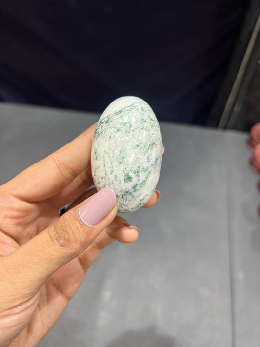 Tree Agate Lingam 91g